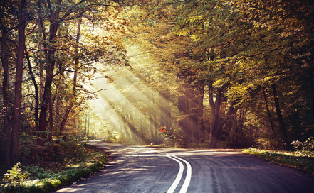 Great shoot of sunbeams above the road